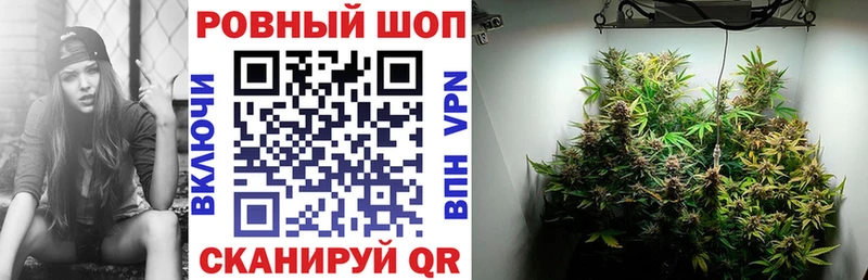 Как найти закладки Сосновый Бор Каннабис  A PVP  MEGA как зайти  ГЕРОИН  КОКАИН  МЕФ  Гашиш  Амфетамин  Галлюциногенные грибы 