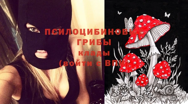 ECSTASY Заволжск