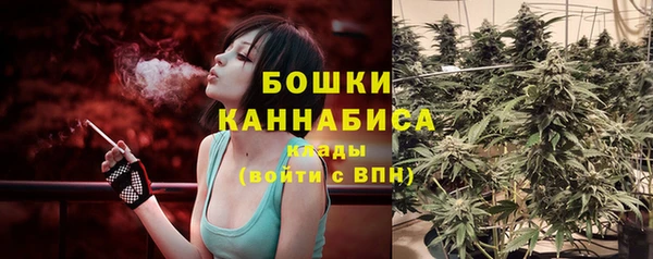 ГАЛЛЮЦИНОГЕННЫЕ ГРИБЫ Слюдянка
