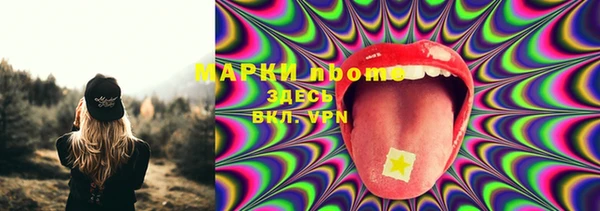 ГАЛЛЮЦИНОГЕННЫЕ ГРИБЫ Слюдянка