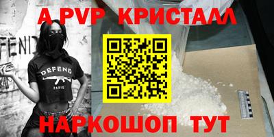 тгк Кингисепп