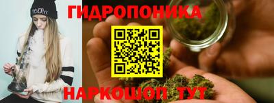 сатива Кимры