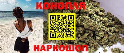 сатива Кимры