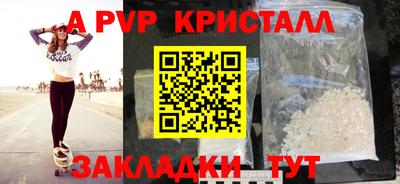 тгк Кингисепп