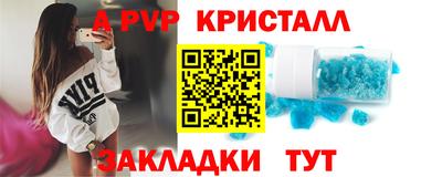 тгк Кингисепп