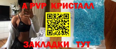тгк Кингисепп