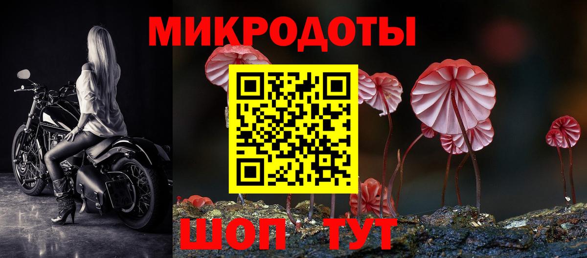 магазин продажи наркотиков  Вход с VPN  Сосновый Бор  Галлюциногенные грибы GOLDEN TEACHER 