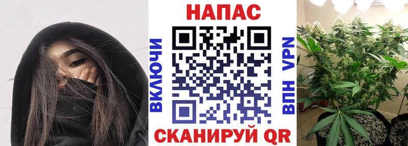 Марихуана индика  Сосновый Бор 